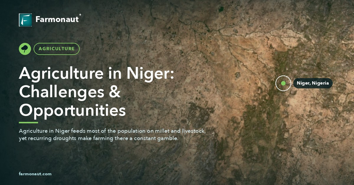 Agriculture In Niger: Challenges &Amp; Opportunities