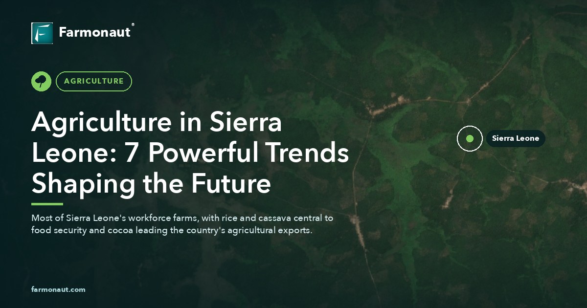 Agriculture In Sierra Leone: 7 Powerful Trends Shaping The Future