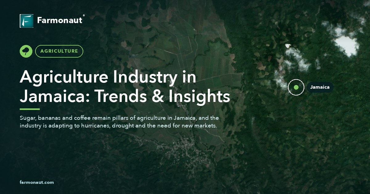 Agriculture Industry In Jamaica: Trends &Amp; Insights