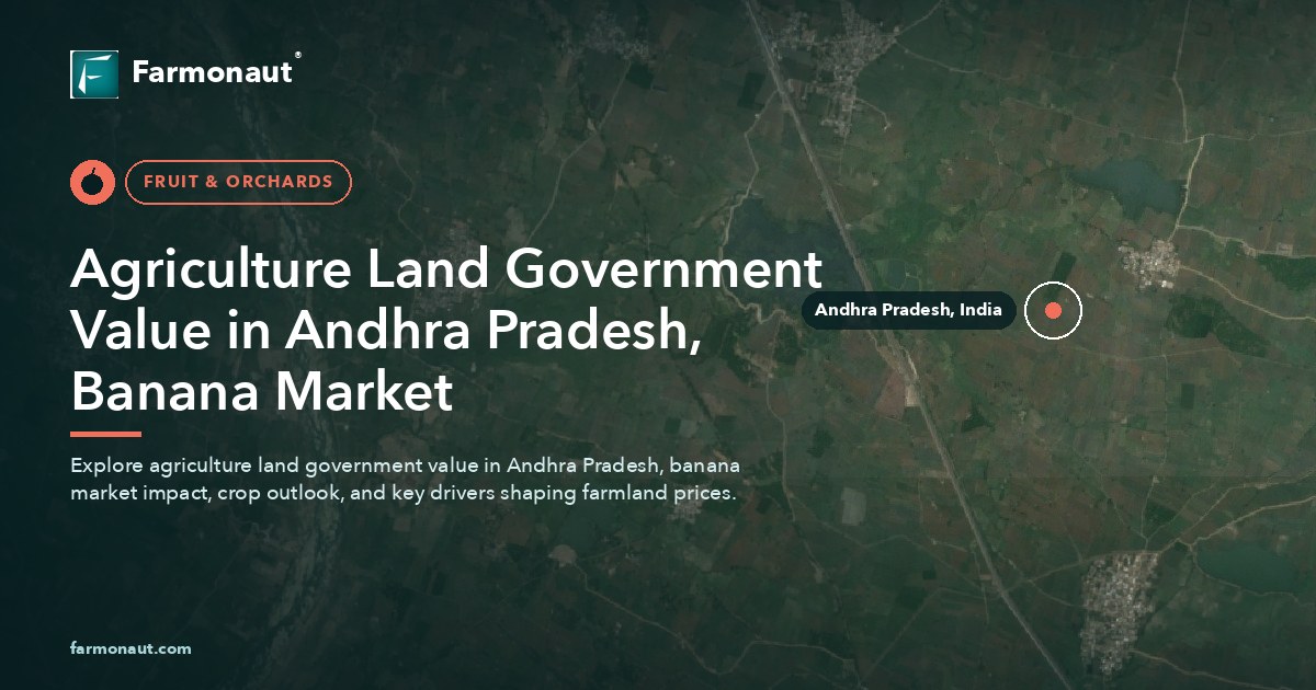 Agriculture Land Government Value In Andhra Pradesh, Banana Market