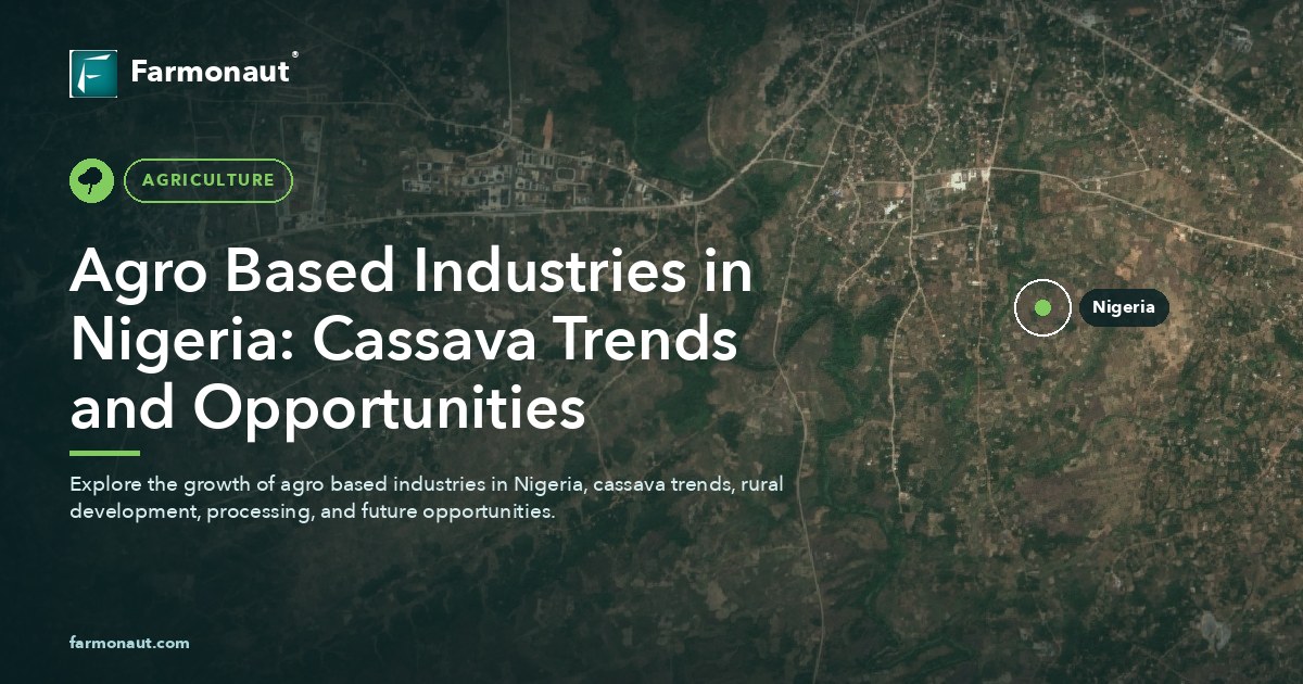 Agro Based Industries In Nigeria: Cassava Trends And Opportunities