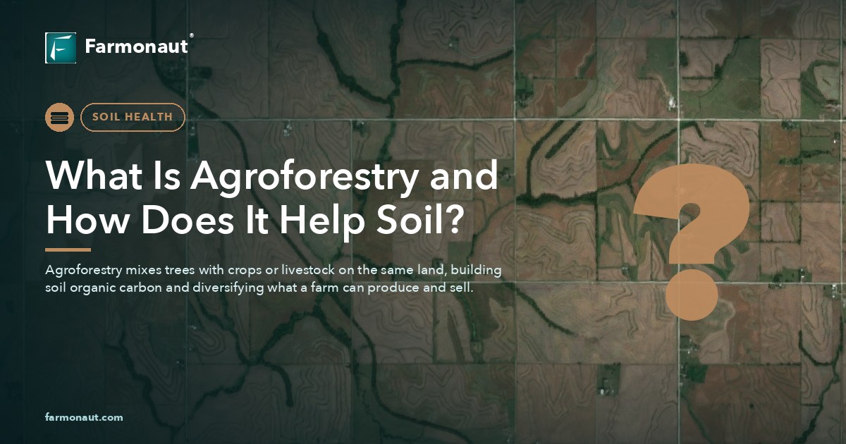 What Is Agroforestry And How Does It Help Soil?