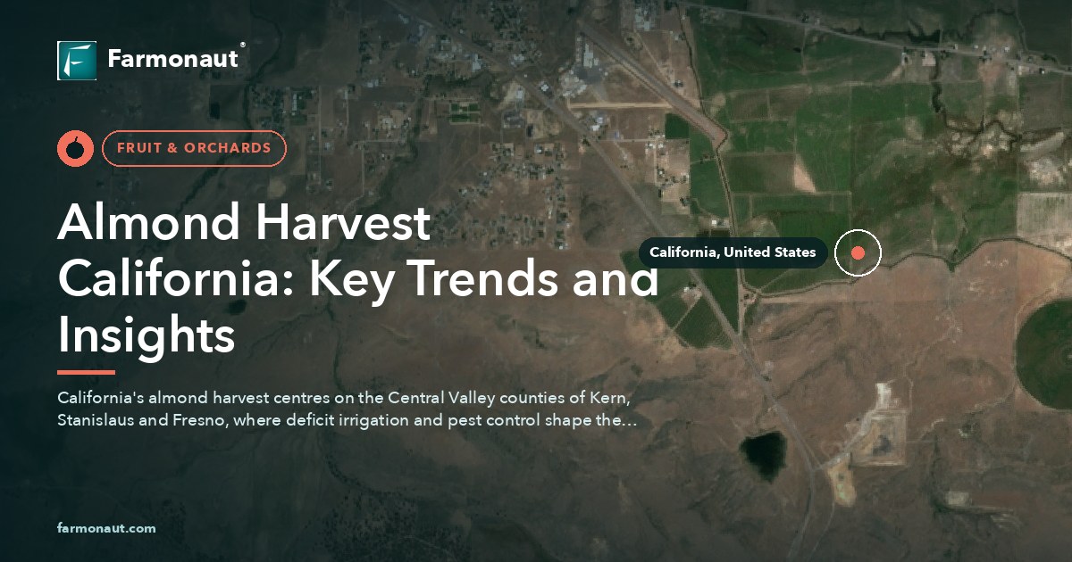 Almond Harvest California: Key Trends And Insights