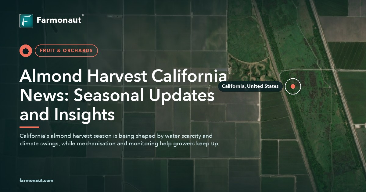 Almond Harvest California News: Seasonal Updates And Insights