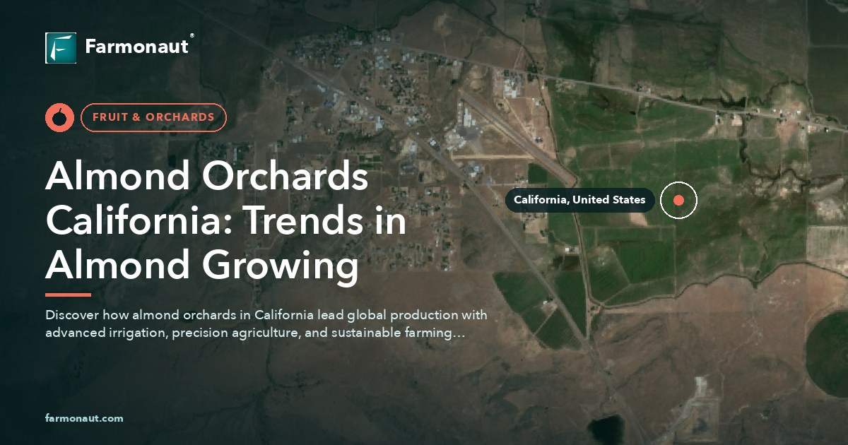 Almond Orchards California: Trends In Almond Growing