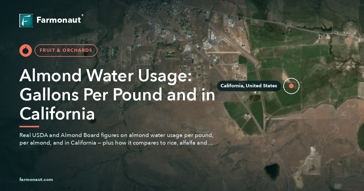 Almond Water Usage: Gallons Per Pound And In California