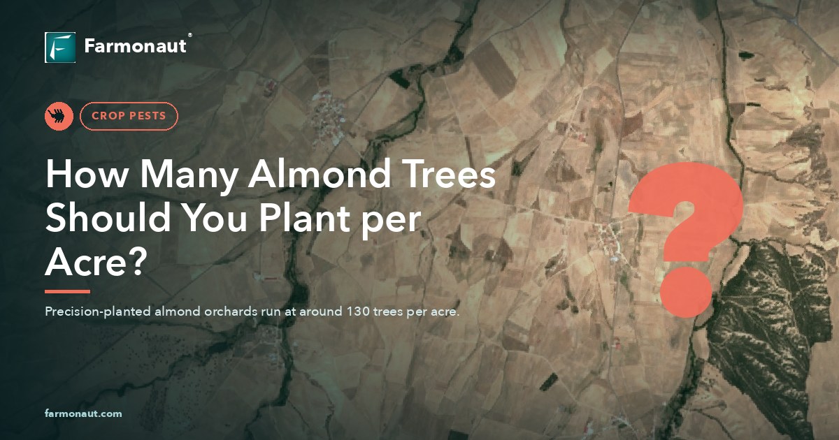 How Many Almond Trees Should You Plant Per Acre?