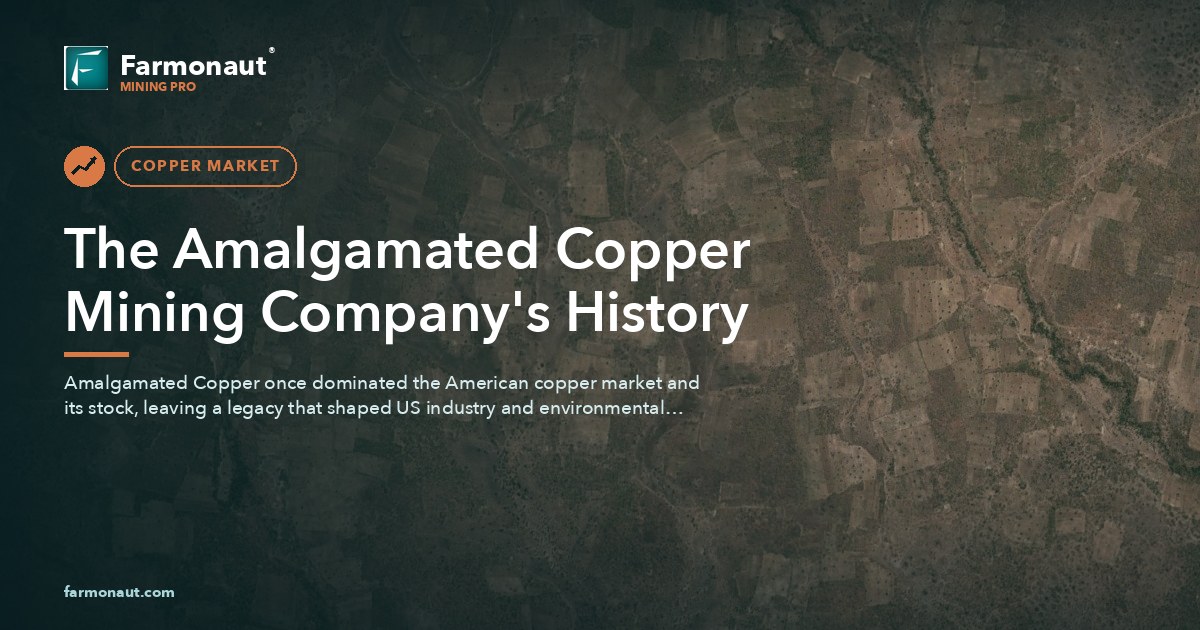 Amalgamated Copper Mining Company: Stock Market Leader 46 The Amalgamated Copper Mining Company'S History
