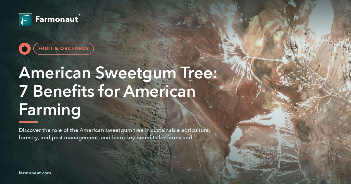 American Sweetgum Tree: 7 Benefits For American Farming