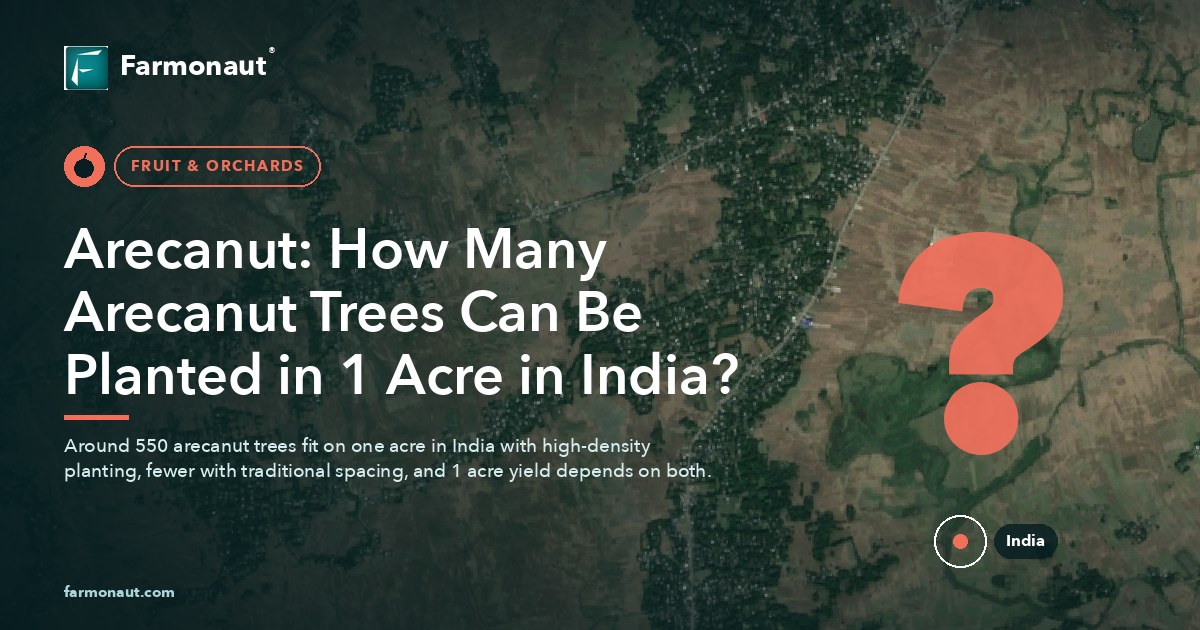 Arecanut: How Many Arecanut Trees Can Be Planted In 1 Acre In India?