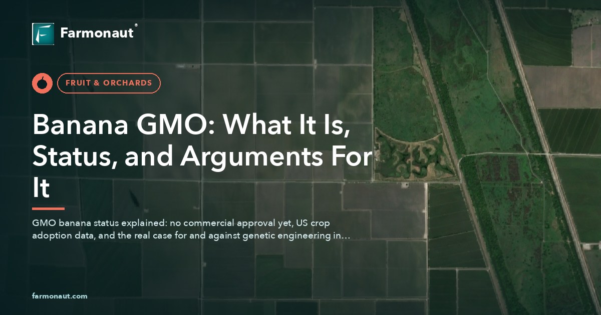 Banana Gmo: What It Is, Status, And Arguments For It