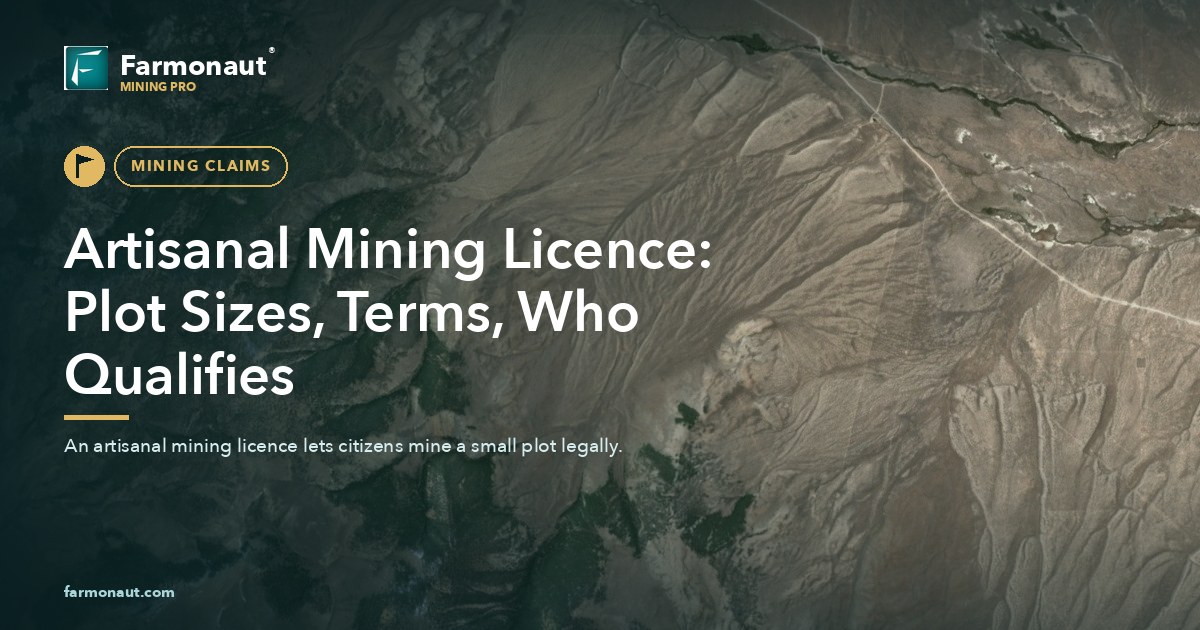 Artisanal Mining Licence: Plot Sizes, Terms, Who Qualifies