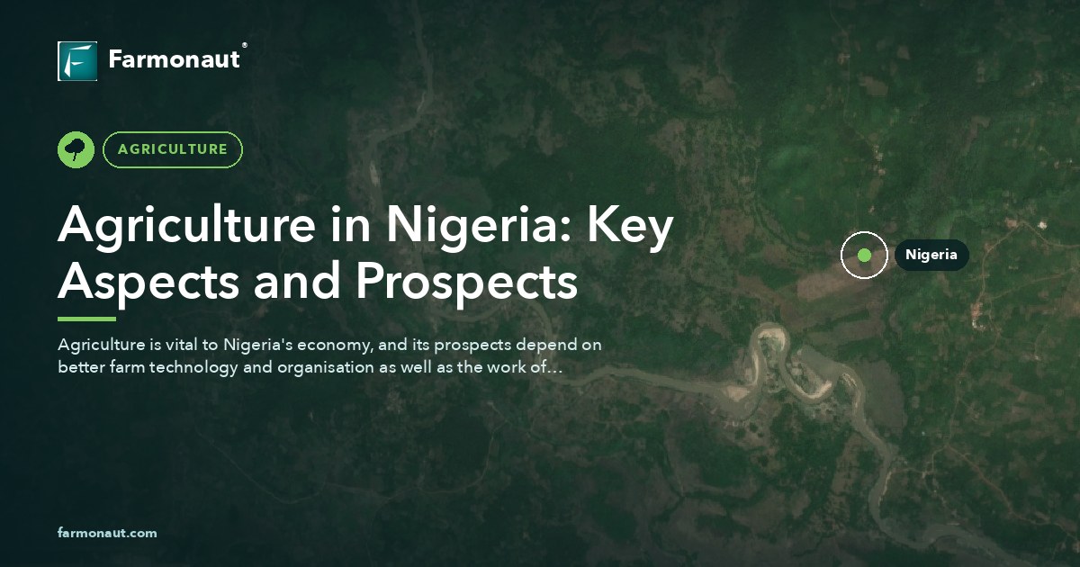 Agriculture In Nigeria: Key Aspects And Prospects