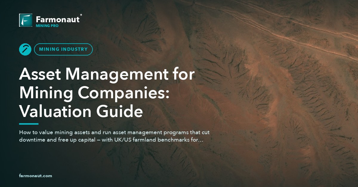 Asset Management For Mining Companies: Valuation Guide