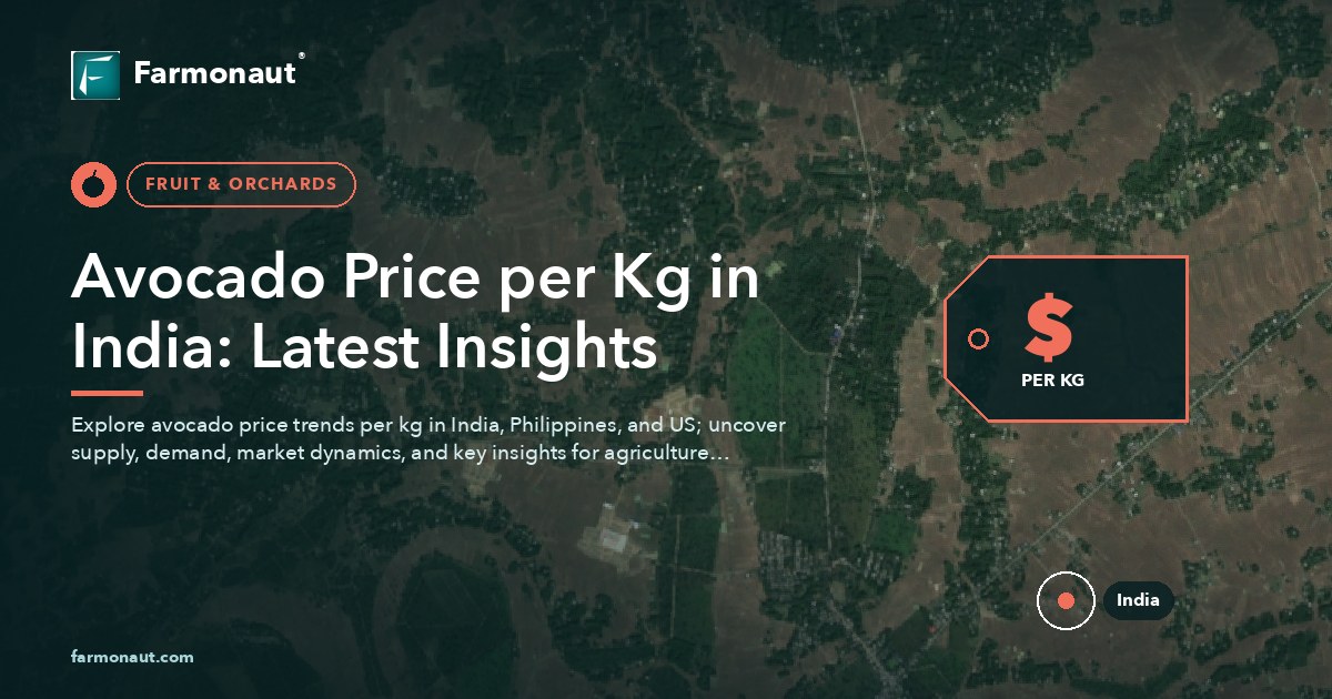 Avocado Price Per Kg In India: Latest Insights