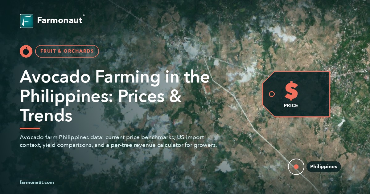 Avocado Farming In The Philippines: Prices &Amp; Trends