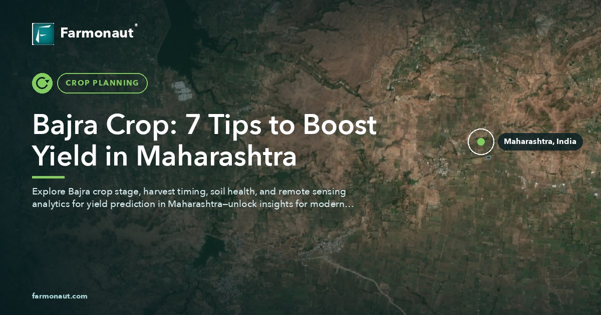 Bajra Crop: 7 Tips To Boost Yield In Maharashtra