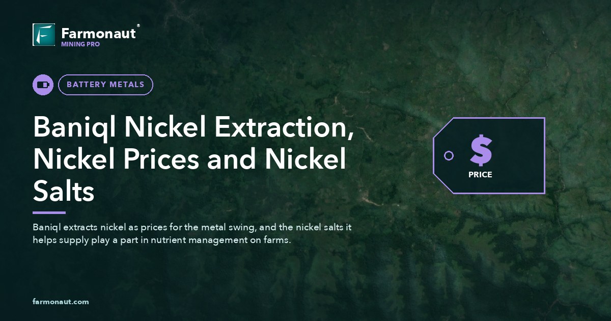 Baniql Nickel Extraction, Nickel Prices And Nickel Salts
