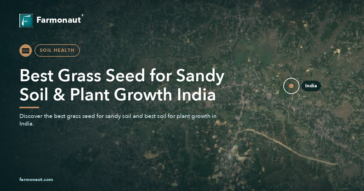 Best Grass Seed For Sandy Soil &Amp; Plant Growth India