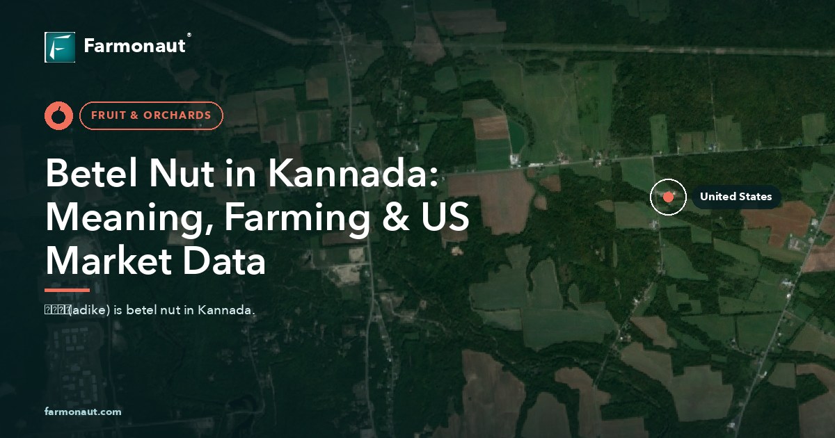 Betel Nut In Kannada: Meaning, Farming &Amp; Us Market Data