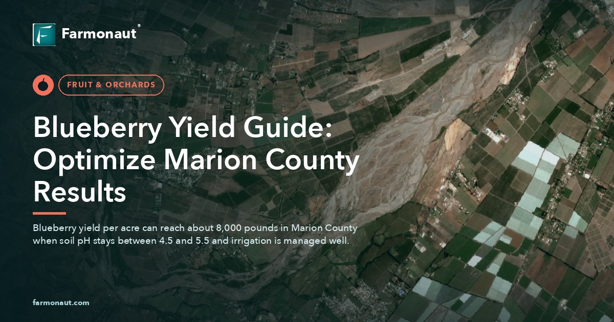 Blueberry Yield Guide: Optimize Marion County Results