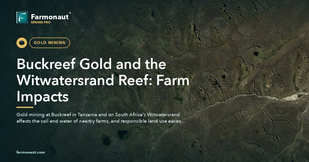 Buckreef Gold And The Witwatersrand Reef: Farm Impacts