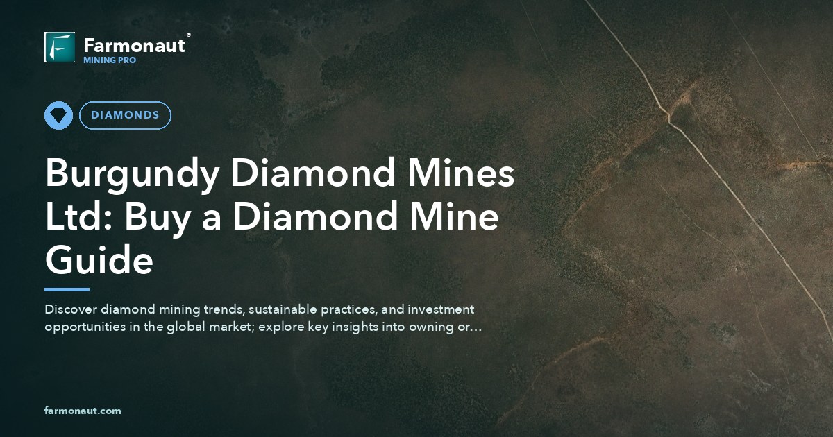 Burgundy Diamond Mines Ltd: Buy A Diamond Mine Guide