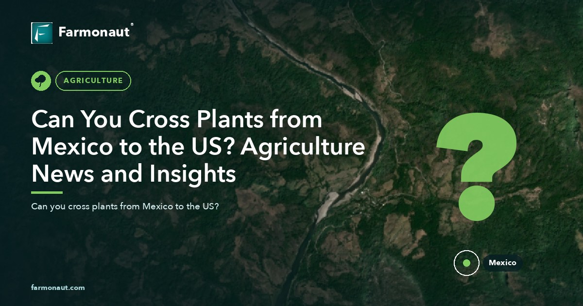 Can You Cross Plants From Mexico To The Us? Agriculture News And Insights