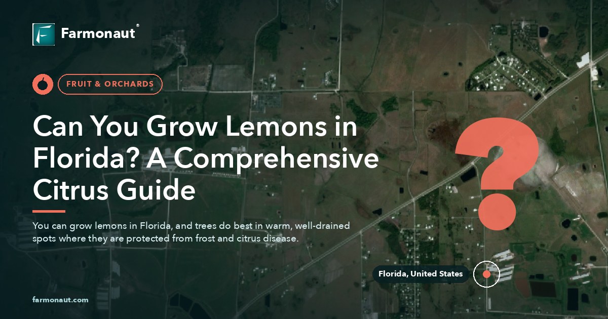 Can You Grow Lemons In Florida? A Comprehensive Citrus Guide