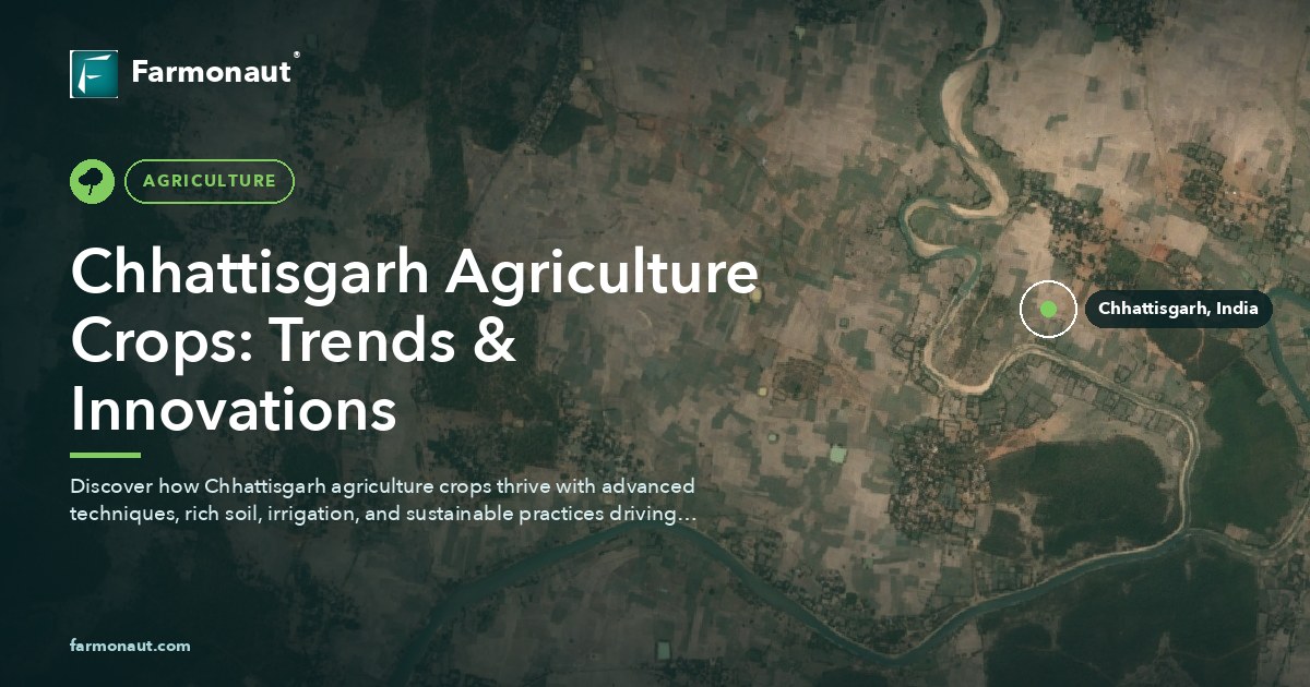Chhattisgarh Agriculture Crops: Trends &Amp; Innovations