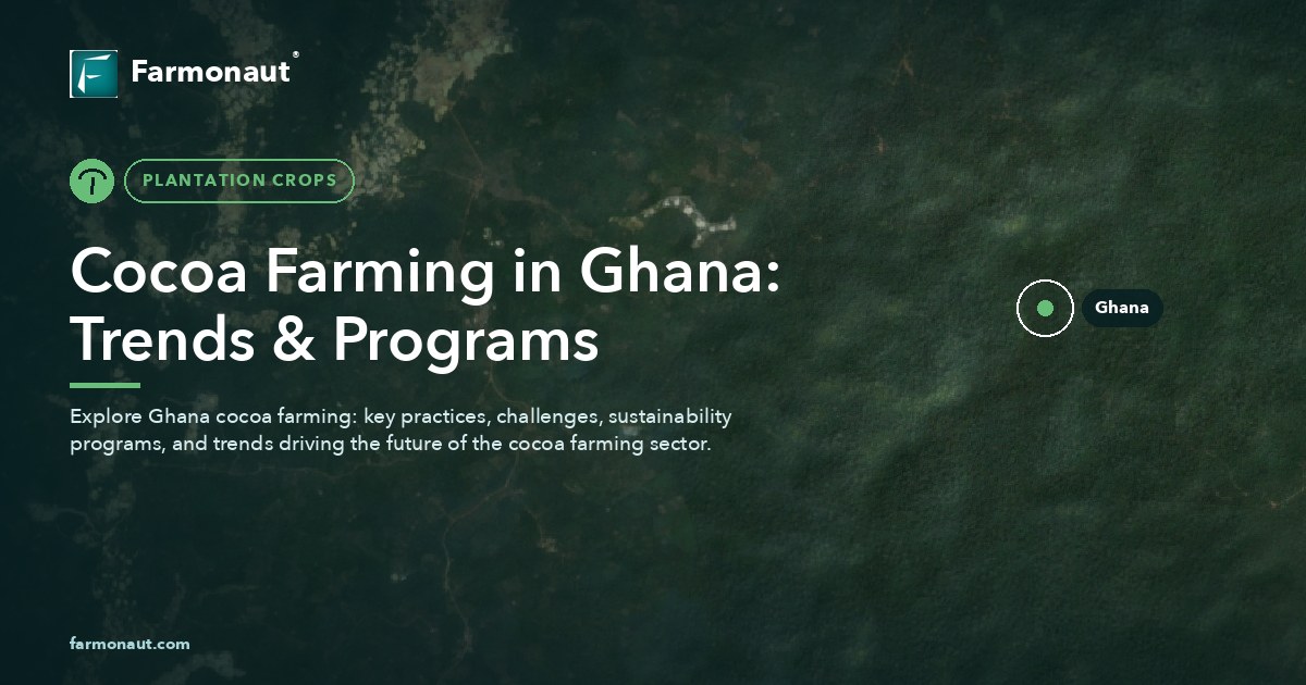 Cocoa Farming In Ghana: Trends &Amp; Programs