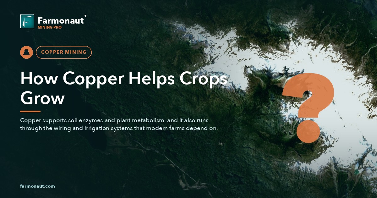 How Copper Helps Crops Grow