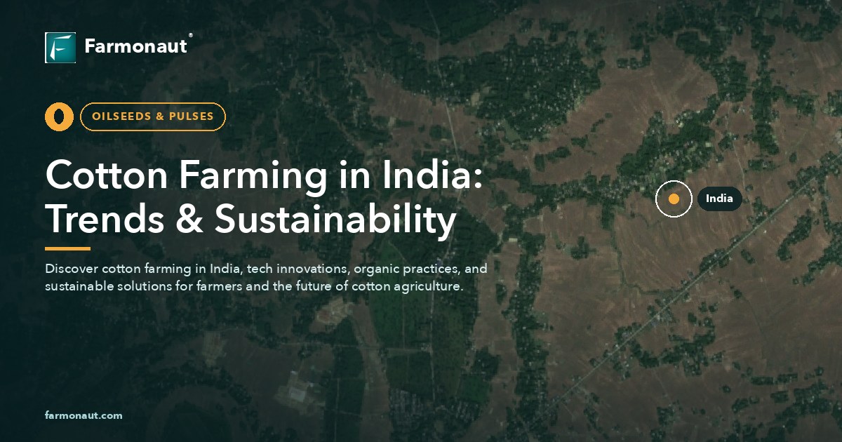 Cotton Farming In India: Trends &Amp; Sustainability