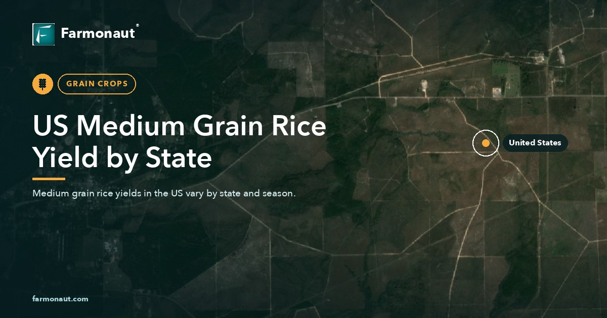 Us Medium Grain Rice Yield By State