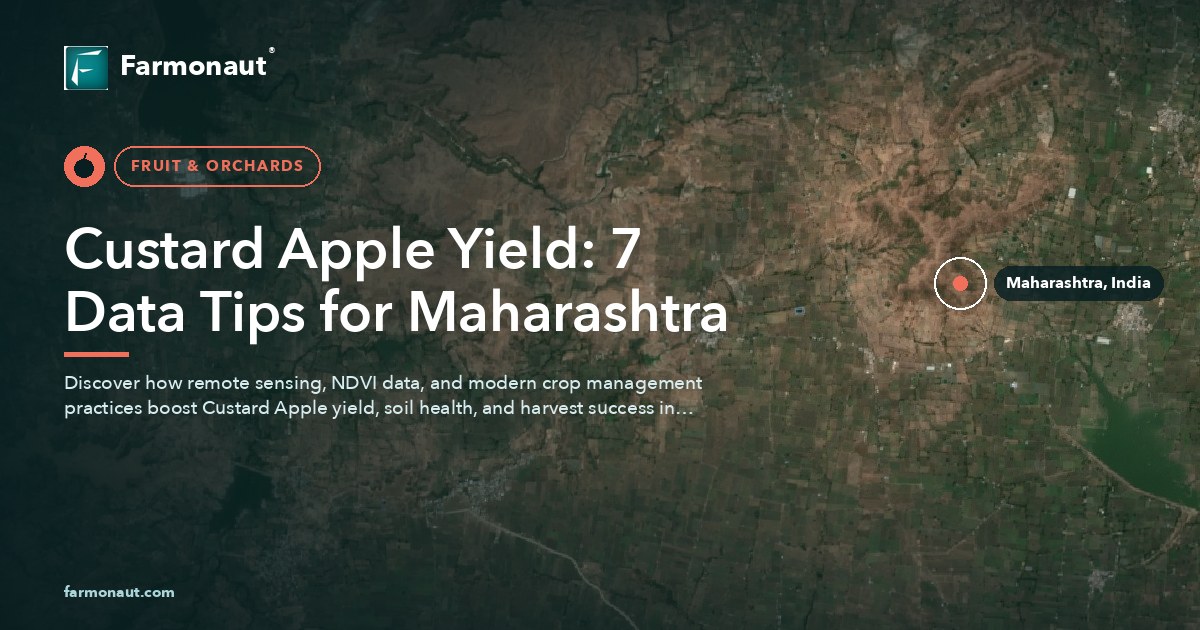 Custard Apple Yield: 7 Data Tips For Maharashtra