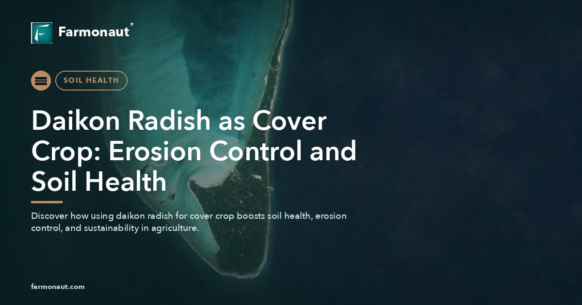 Daikon Radish As Cover Crop: Erosion Control And Soil Health