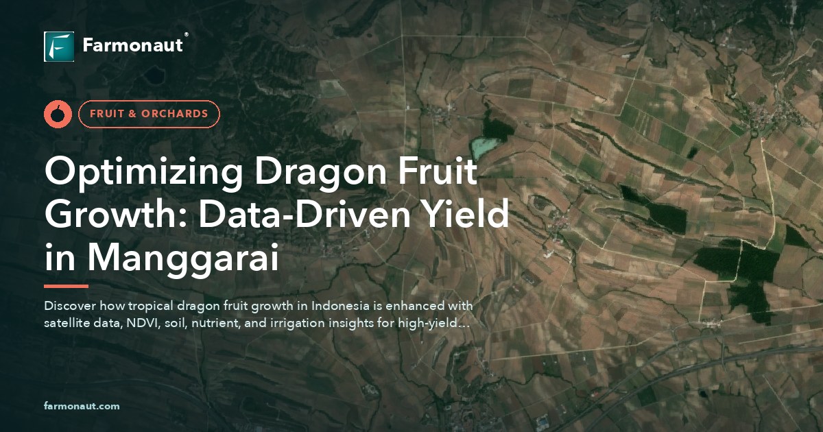 Optimizing Dragon Fruit Growth: Data-Driven Yield In Manggarai