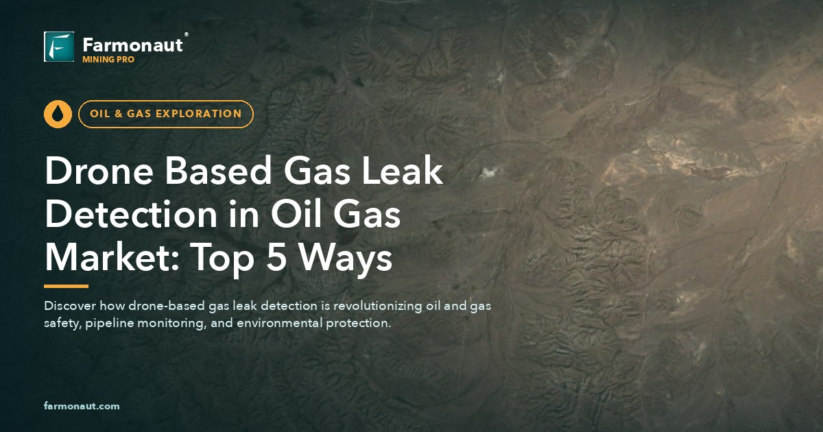 Drone Based Gas Leak Detection In Oil Gas Market: Top 5 Ways