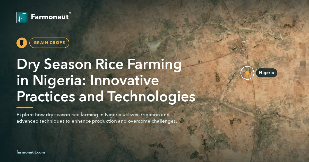 Dry Season Rice Farming In Nigeria: Innovative Practices And Technologies
