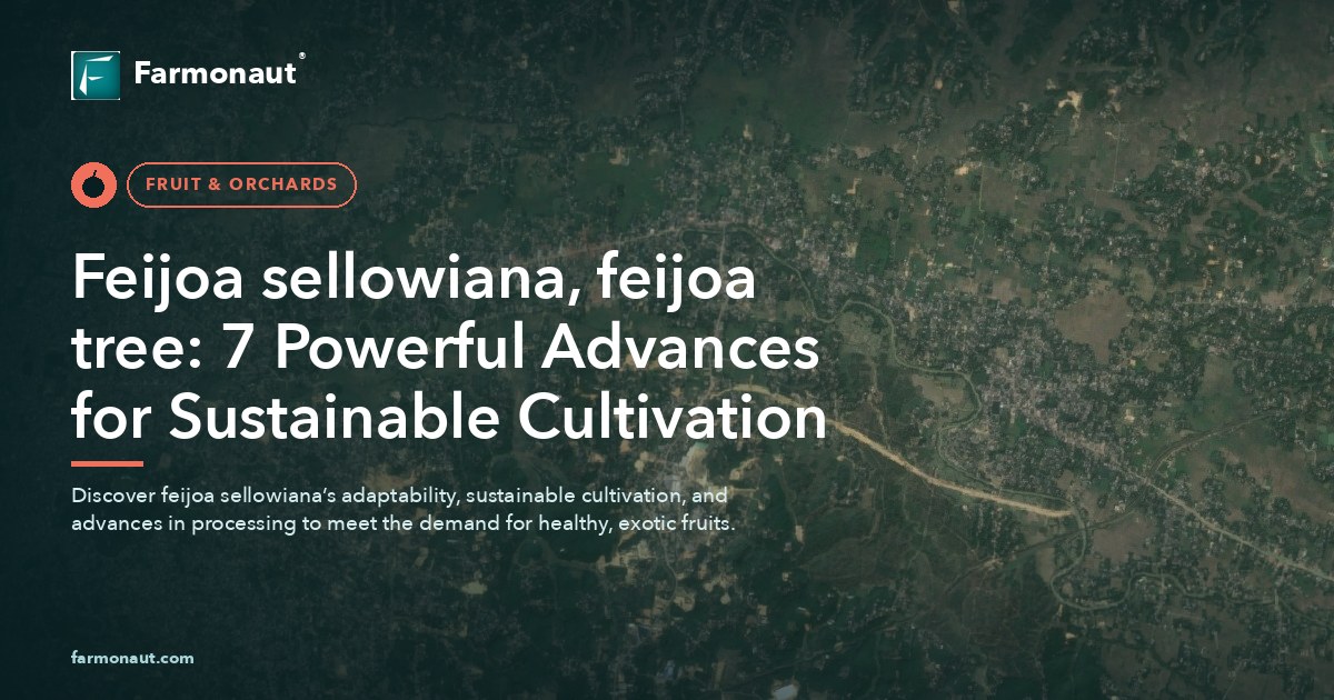 Feijoa Sellowiana, Feijoa Tree: 7 Powerful Advances For Sustainable Cultivation