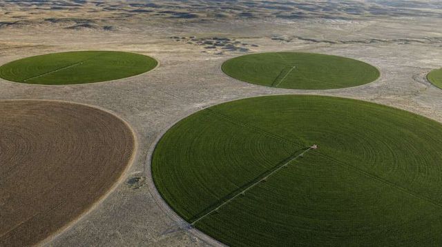 Aerial View Of Centre-Pivot Irrigation Circles On Arid Steppe