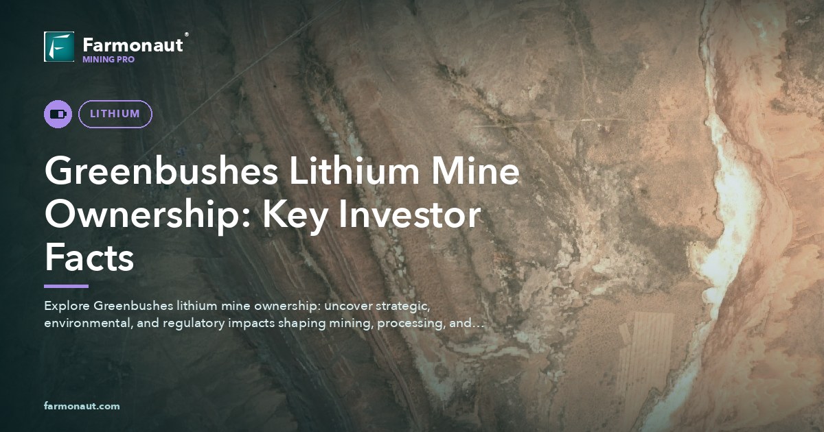 Greenbushes Lithium Mine Ownership: Key Investor Facts
