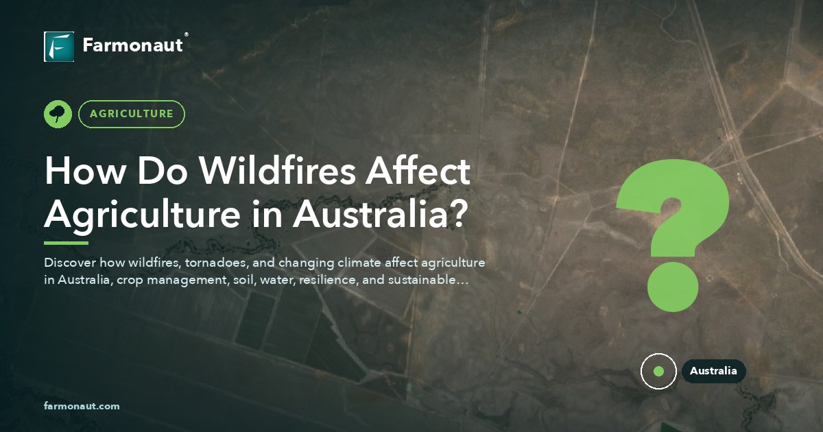 How Do Wildfires Affect Agriculture In Australia? 10 How Do Wildfires Affect Agriculture In Australia?