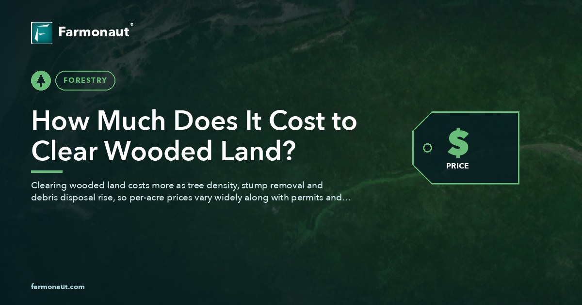 How Much Does It Cost To Clear Wooded Land?