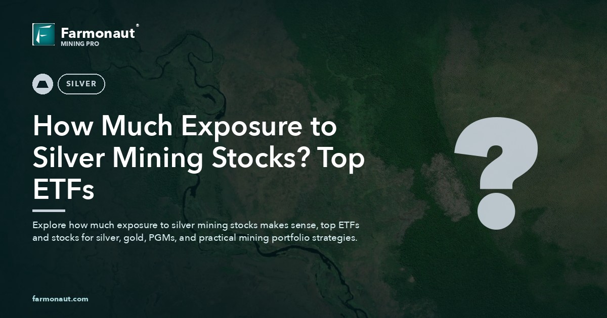 How Much Exposure To Silver Mining Stocks? Top Etfs