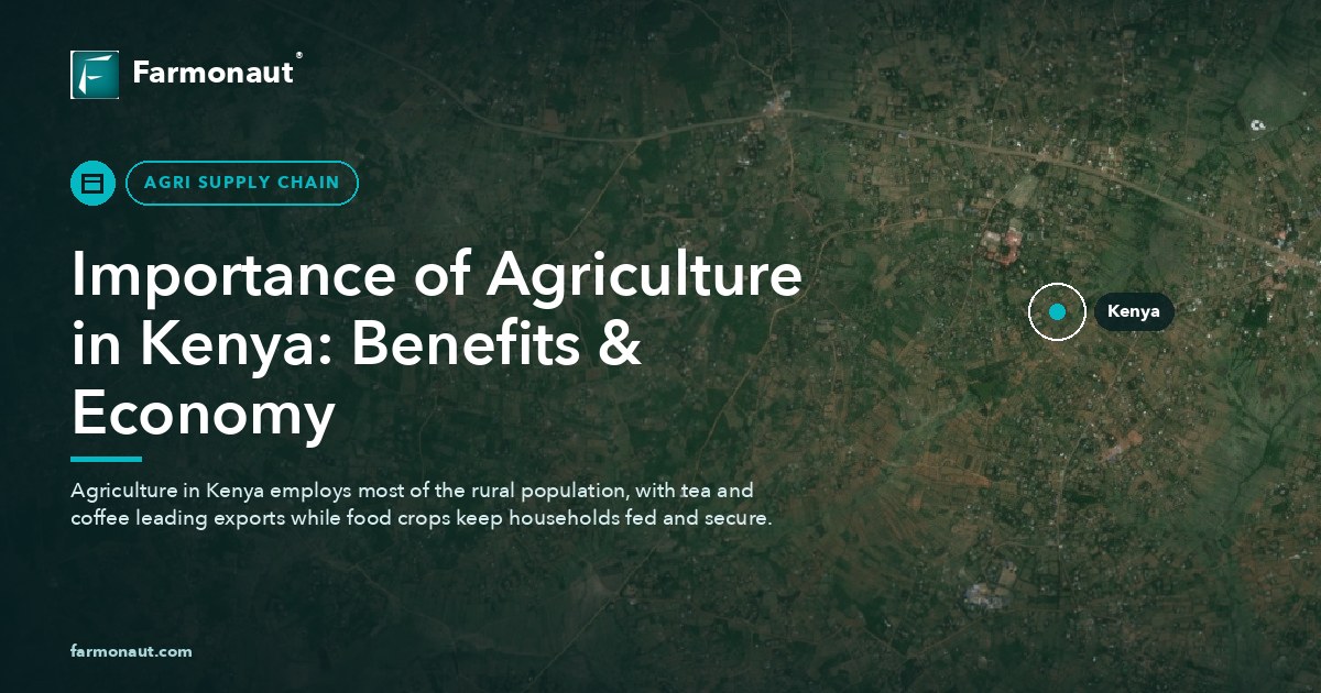 Importance Of Agriculture In Kenya: Benefits &Amp; Economy