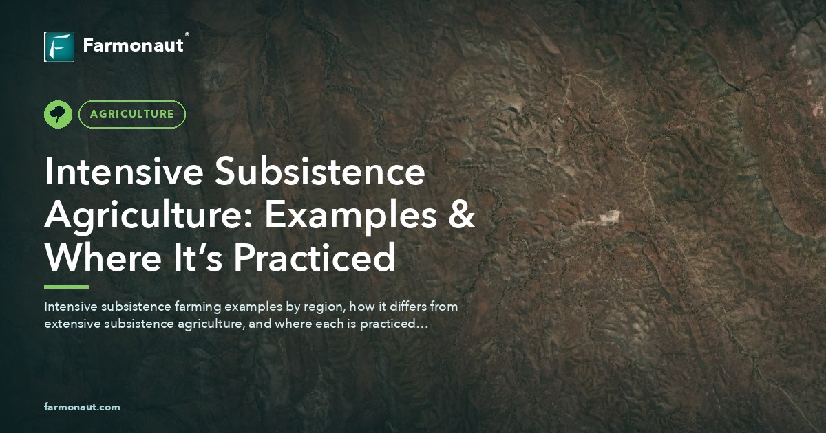 Intensive Subsistence Agriculture: Examples &Amp; Where It’s Practiced