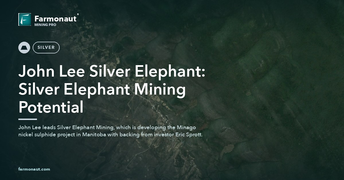 John Lee Silver Elephant: Silver Elephant Mining Potential