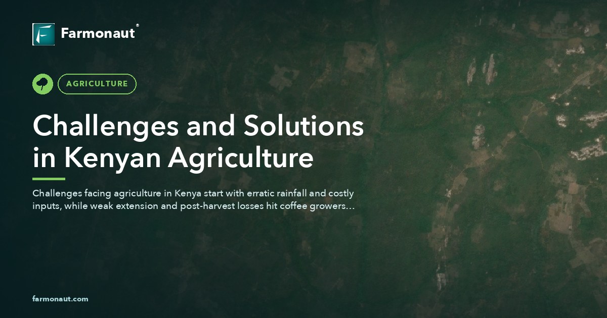 Challenges And Solutions In Kenyan Agriculture