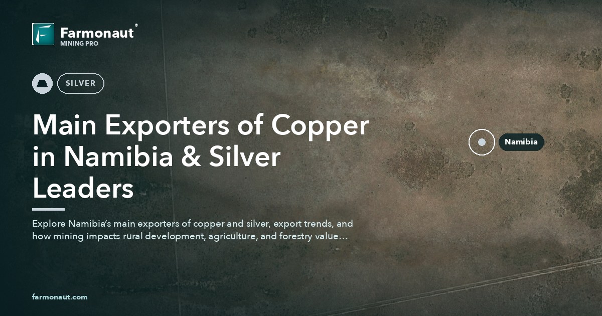 Main Exporters Of Copper In Namibia &Amp; Silver Leaders